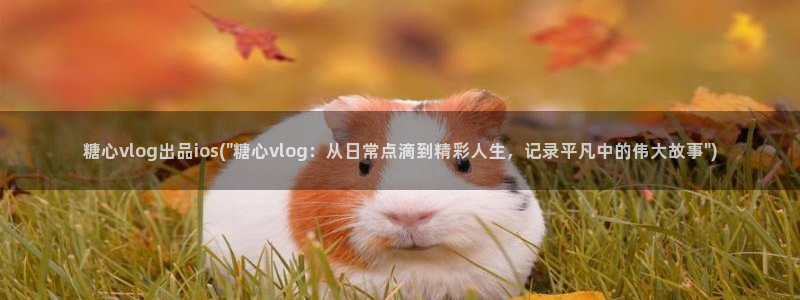 糖心vlo