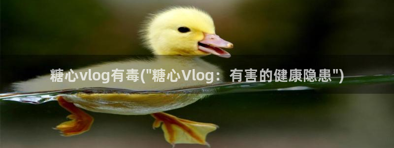 心糖vlog