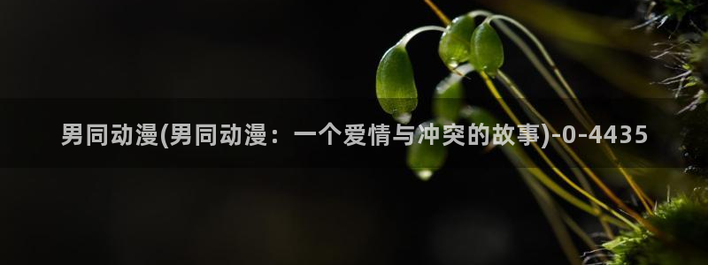 狂野情人动漫