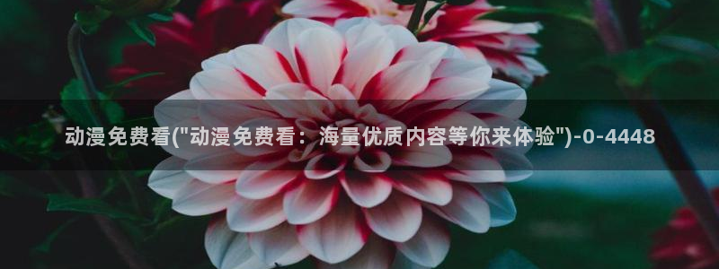 动漫美女泳装