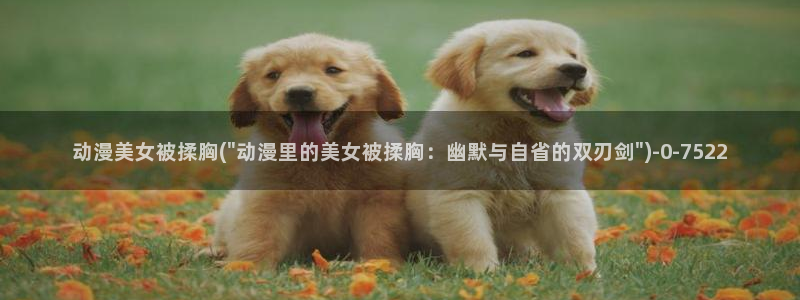 狂赌之渊动漫
