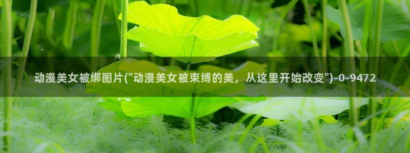 二次元动漫