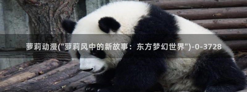 奇奇动漫