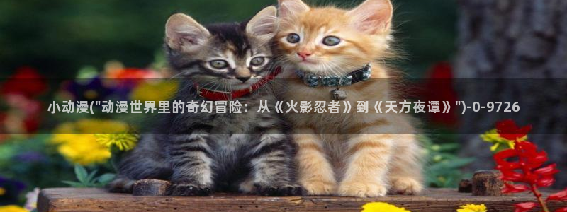 好看动漫网